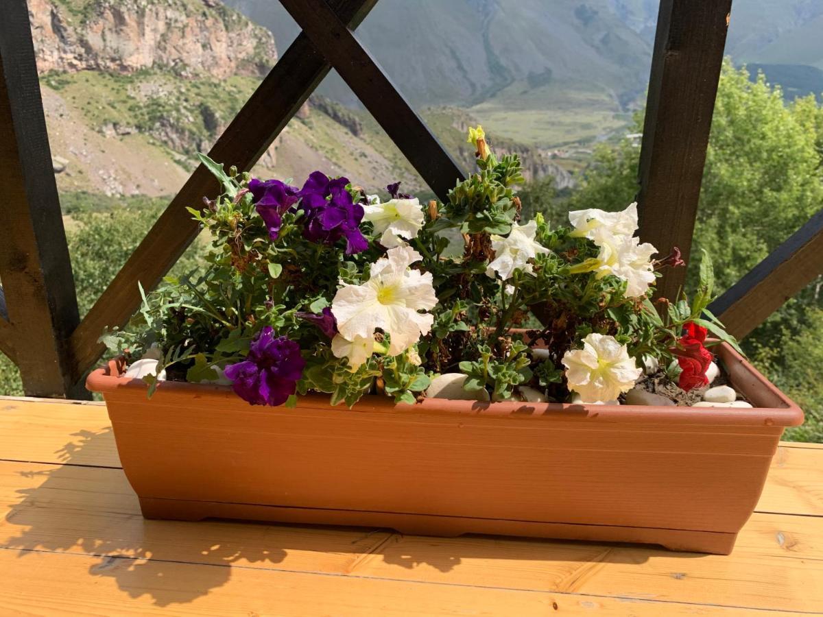 Villa View à Kazbegi Extérieur photo